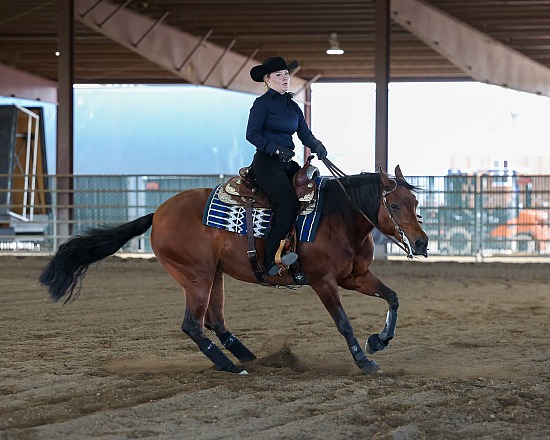 Region 4 Reining